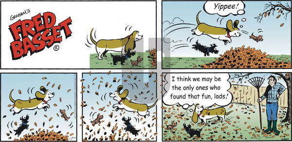 Fred Basset on Sunday October 18, 2020 Comic Strip