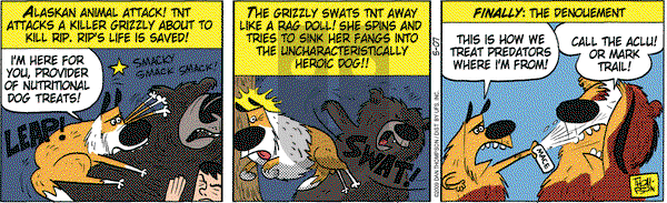 Rip Haywire - Thursday May 7, 2009 Comic Strip