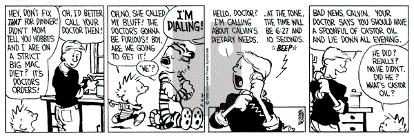 Calvin and Hobbes on Friday February 26, 1988 Comic Strip