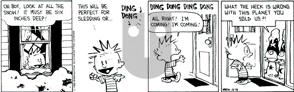 Calvin and Hobbes - Tuesday December 19, 1995 Comic Strip