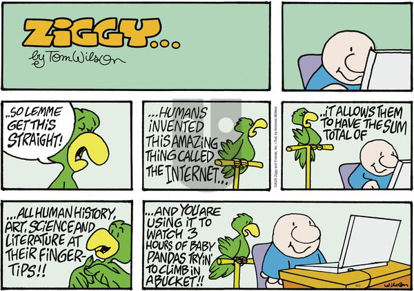 Ziggy on Sunday November 1, 2020 Comic Strip