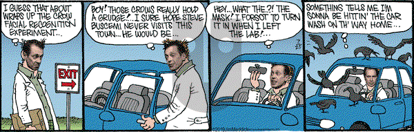Monty on Thursday July 25, 2019 Comic Strip
