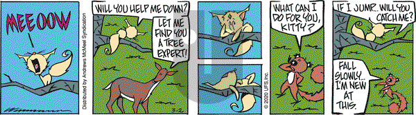 Rose is Rose on Monday March 2, 2020 Comic Strip