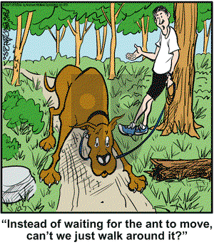 Marmaduke on Thursday October 7, 2021 Comic Strip