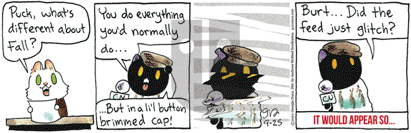 Breaking Cat News - Wednesday September 25, 2024 Comic Strip