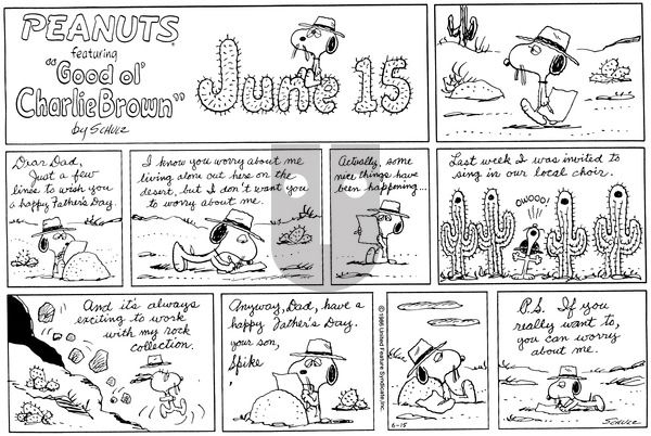 Peanuts on Sunday June 15, 1986 Comic Strip