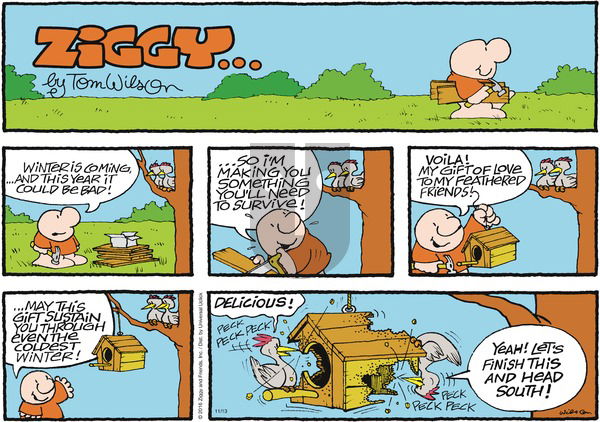 Ziggy on Sunday November 13, 2016 Comic Strip