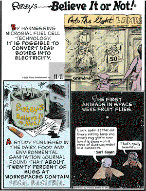 Ripley's Believe It or Not - Thursday November 11, 2021 Comic Strip