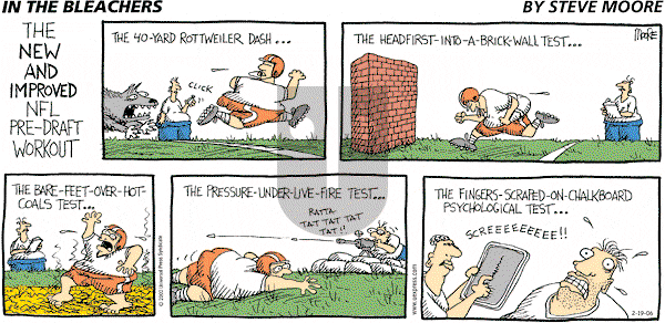 In the Bleachers - Sunday February 19, 2006 Comic Strip
