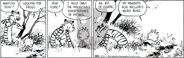 Calvin and Hobbes on Monday March 16, 2015 Comic Strip