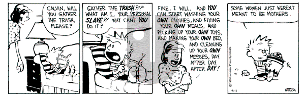 Calvin and Hobbes on Tuesday July 11, 1989 Comic Strip