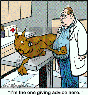 Marmaduke on Monday December 31, 2018 Comic Strip
