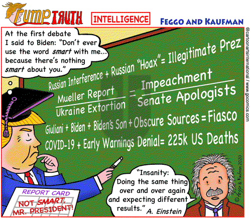 ViewsAmerica on Thursday October 29, 2020 Comic Strip