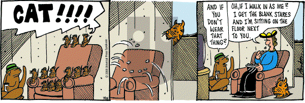 Overboard - Friday July 25, 2008 Comic Strip