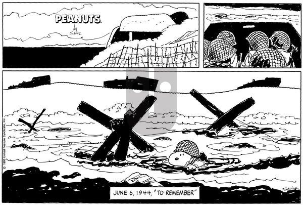 Peanuts on Sunday June 6, 1993 Comic Strip