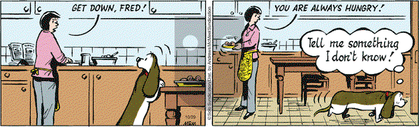 Fred Basset on Thursday October 29, 2020 Comic Strip