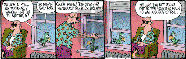 Monty on Friday April 17, 2020 Comic Strip