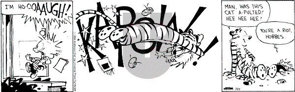 Calvin and Hobbes - Friday March 25, 1994 Comic Strip