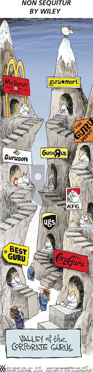 Non Sequitur on Sunday December 5, 2010 Comic Strip