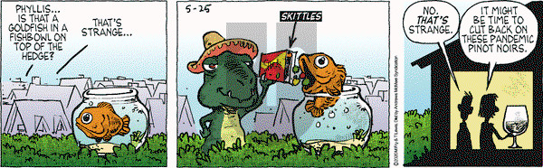 Over the Hedge on Monday May 25, 2020 Comic Strip