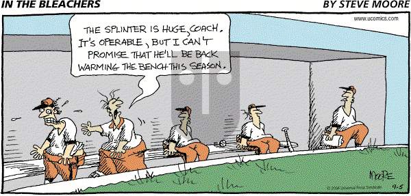 In the Bleachers on Sunday September 5, 2004 Comic Strip
