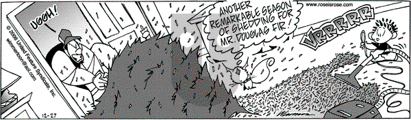 Rose is Rose on Wednesday December 27, 2006 Comic Strip