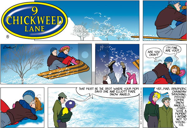 9 Chickweed Lane on Sunday March 7, 2010 Comic Strip