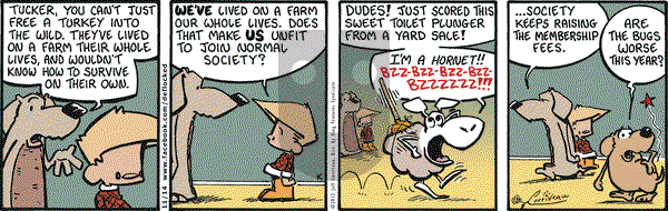 DeFlocked on Wednesday November 14, 2012 Comic Strip