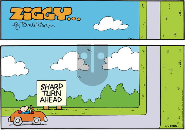 Ziggy on Sunday August 1, 2021 Comic Strip
