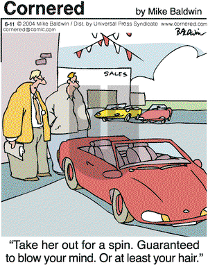 Cornered on Friday June 11, 2004 Comic Strip