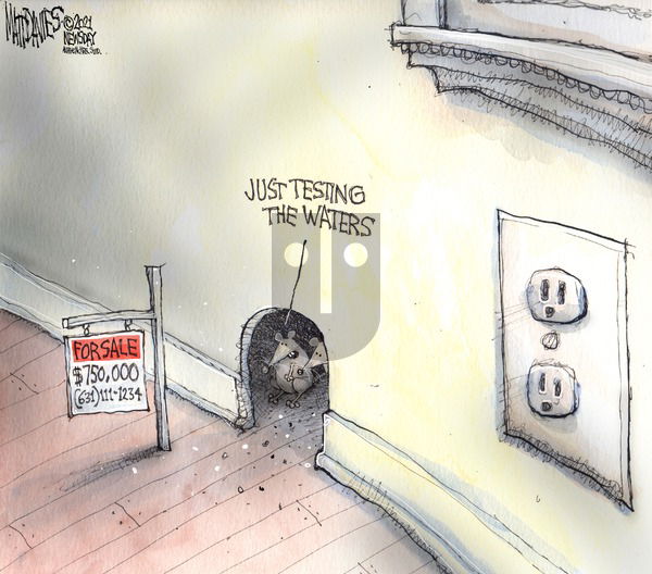 Matt Davies on Sunday June 13, 2021 Comic Strip