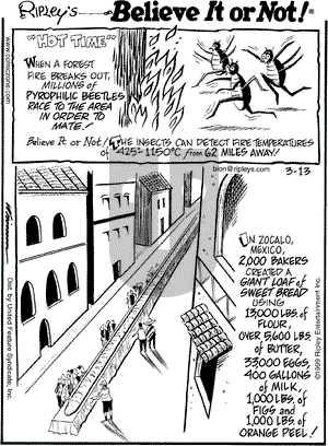 Ripley's Believe It or Not on Saturday March 13, 1999 Comic Strip