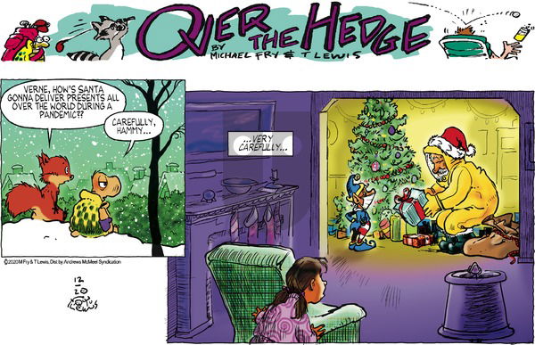 Over the Hedge on Sunday December 20, 2020 Comic Strip