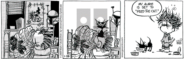 Heart of the City on Sunday February 15, 2009 Comic Strip