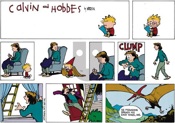 Calvin and Hobbes on Sunday February 26, 1989 Comic Strip