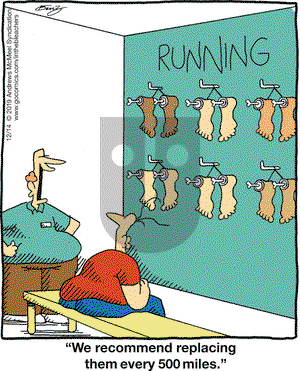 In the Bleachers on Saturday December 14, 2019 Comic Strip