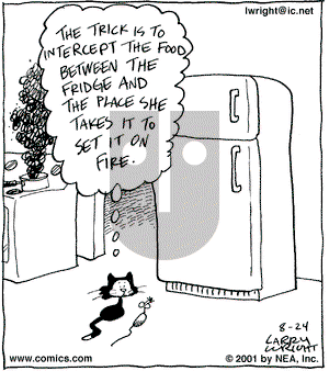 Kit 'N' Carlyle on Friday August 24, 2001 Comic Strip