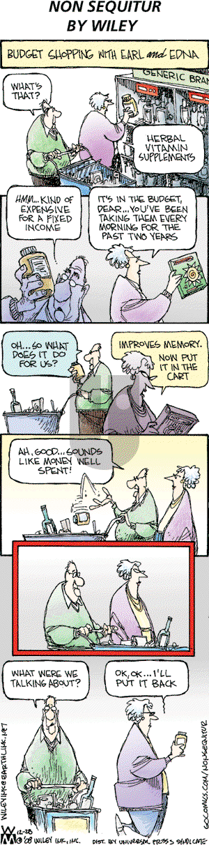 Non Sequitur on Sunday December 28, 2008 Comic Strip