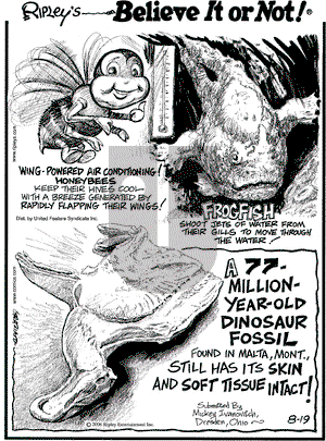 Ripley's Believe It or Not - Saturday August 19, 2006 Comic Strip