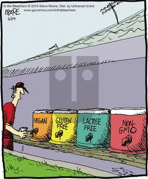In the Bleachers on Monday June 29, 2015 Comic Strip