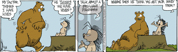 The Grizzwells on Tuesday June 24, 2025 Comic Strip