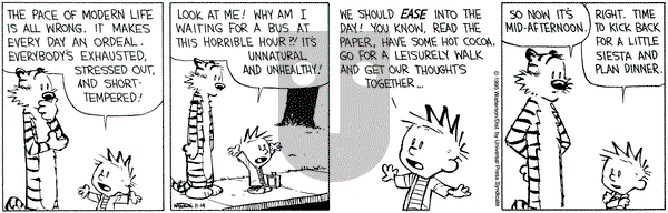 Calvin and Hobbes on Tuesday November 14, 1995 Comic Strip