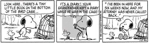Peanuts on Wednesday January 5, 1994 Comic Strip
