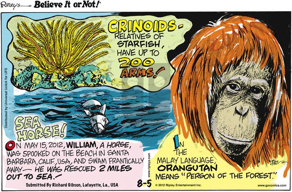 Ripley's Believe It or Not on Sunday August 5, 2012 Comic Strip