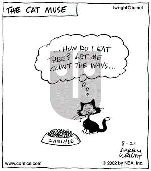 Kit 'N' Carlyle on Wednesday August 21, 2002 Comic Strip