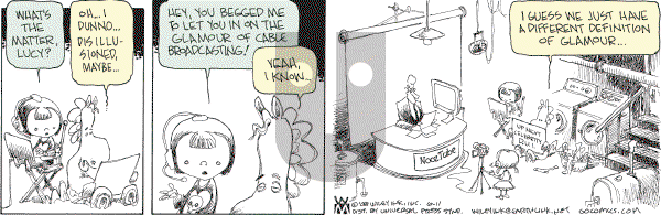 Non Sequitur - Wednesday June 11, 2008 Comic Strip