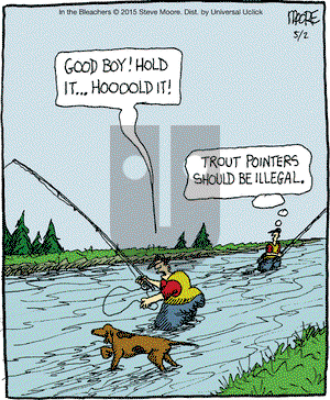 In the Bleachers on Saturday May 2, 2015 Comic Strip