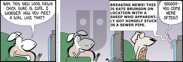 DeFlocked on Saturday February 16, 2019 Comic Strip