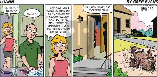 Luann on Sunday June 25, 2017 Comic Strip