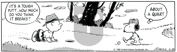 Peanuts on Saturday February 29, 1992 Comic Strip
